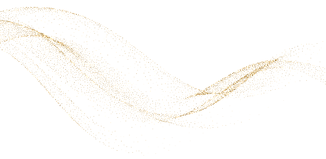 paillettes1 paillettes1